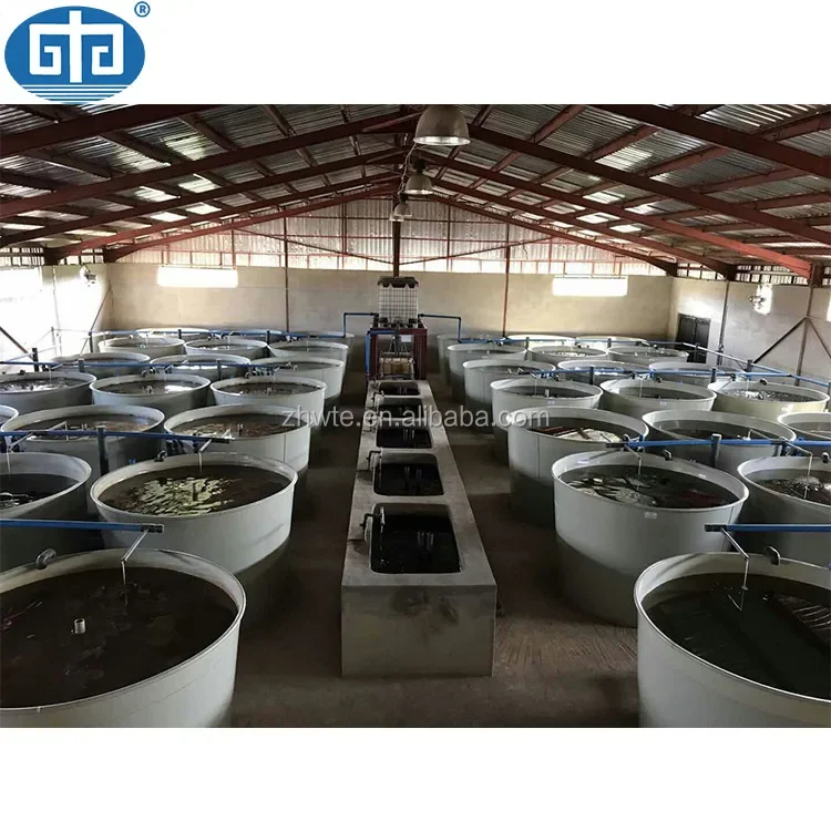 Aquaculture Pools Koi Pond Filtration System,Hatchery Fish Breeding Farm Equipment Fish Farm Design,Freshwater Prawn Farming