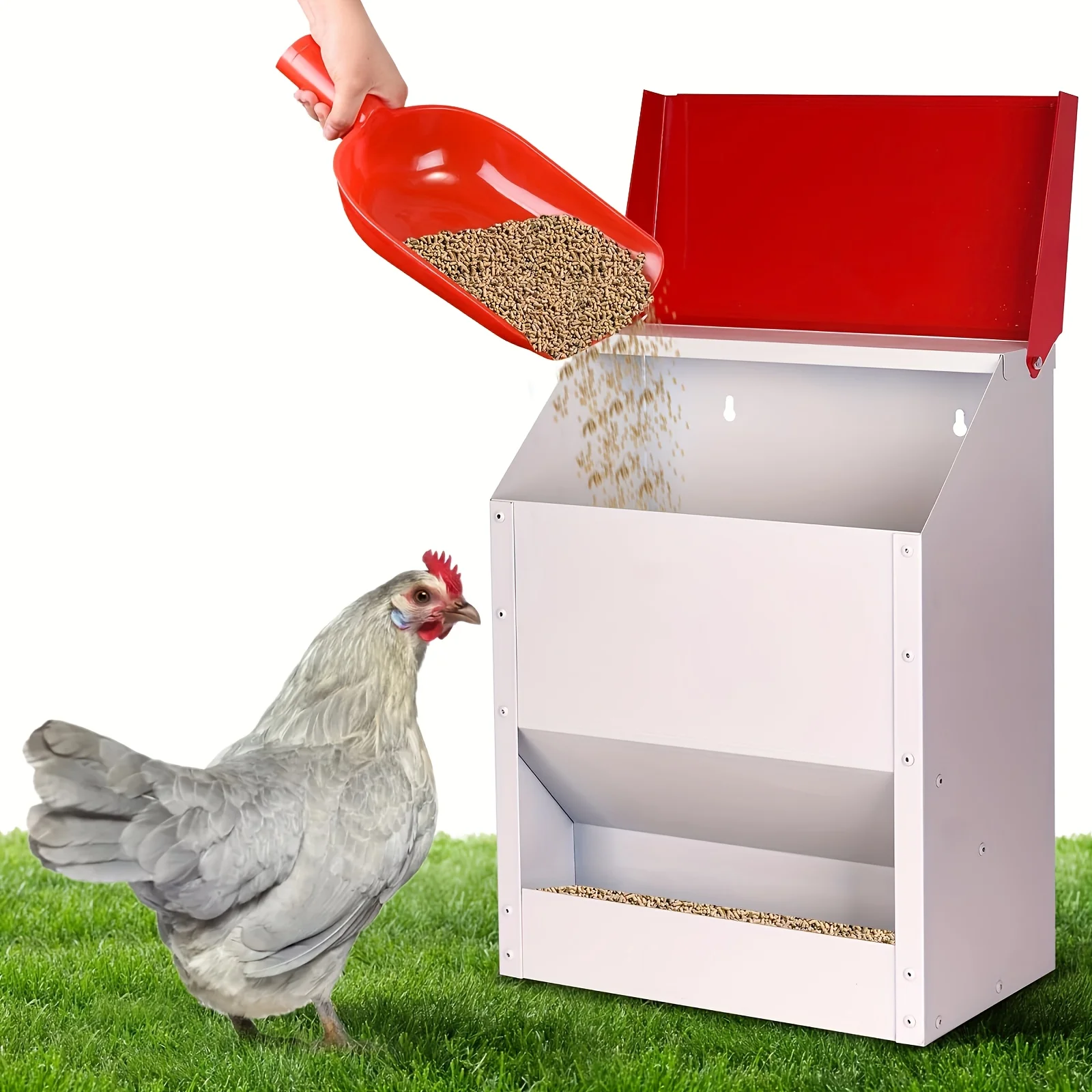 

SXTSXT Automatic Metal Chicken Feeder Wall Mounted Galvanized Poultry Feeder with Cover Outdoor Wall Mounted Chicken Food Dispenser Gravity Feeding Chicken Feeder Weatherproof Waste-Free Quail Duck Feeder (10 Lbs/25Lbs.)