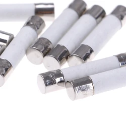 10 Pcs Microwave Ceramic Fuse Electric 20A 250V Home Supplies DIY 6x30mm Wholesale