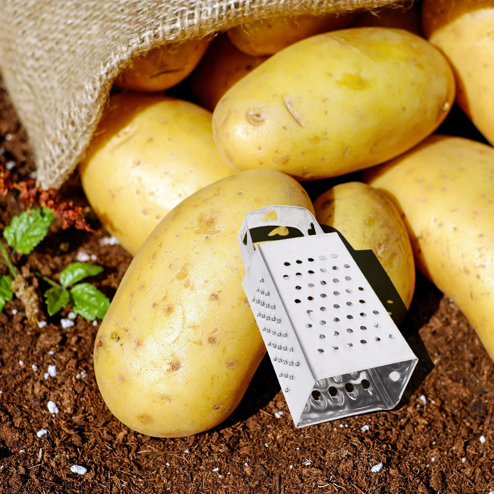

6Pcs Mini Cheese Grater Stainless Steel Four-Sided Box Grater Kitchen Vegetable Slicer Shredder Carrots Potato Garlic Cheese