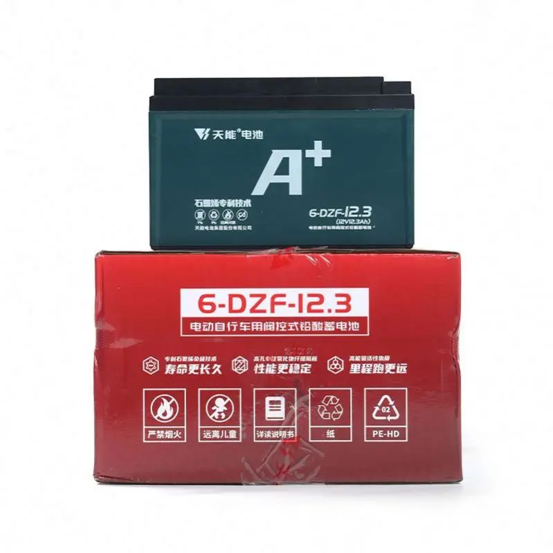 Hot Sale Factory Electric Bicycle Battery 48v 12.3ah Electric Bicycle Lead Acid Battery Pack