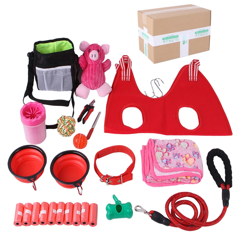 Pink Puppy Starter Kit for Small Dogs – Feeding Bowls, Bow Collar, Leash, Blanket, Squeak Toys, Grooming Tool