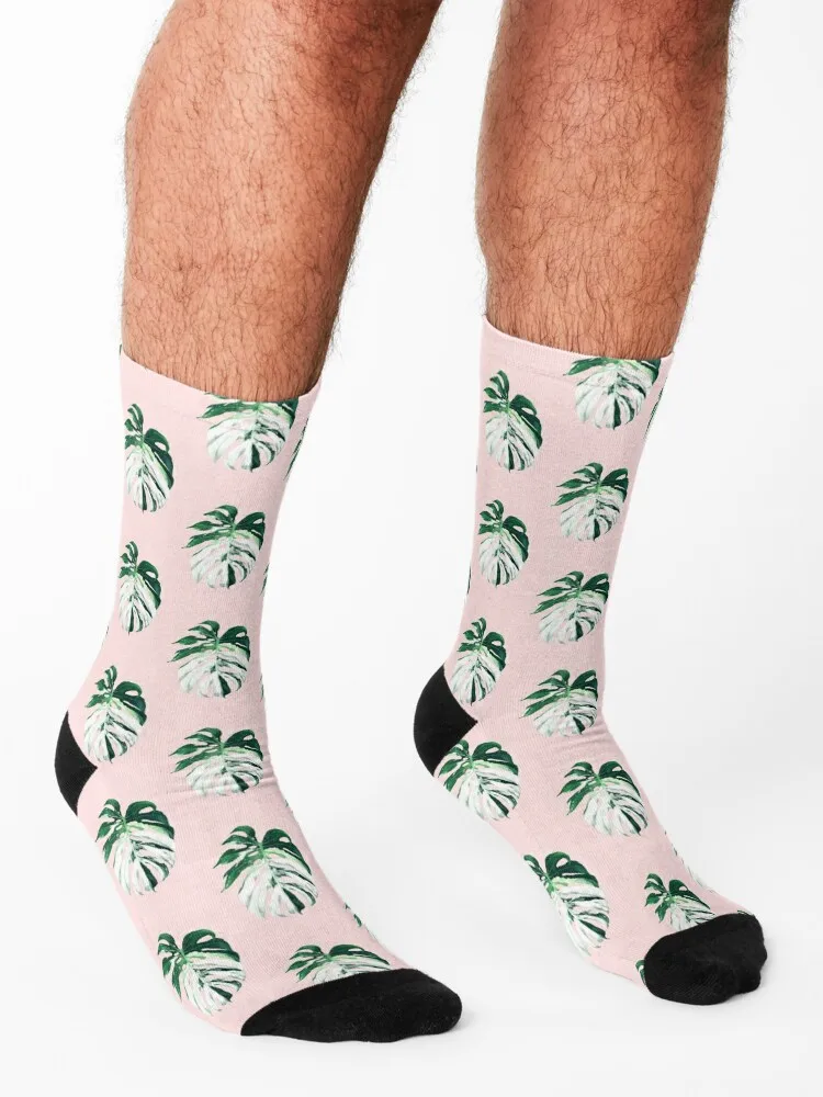 Monstera Albo Borsigiana in Pink Socks new in's moving stockings Stockings fashionable Socks For Girls Men's