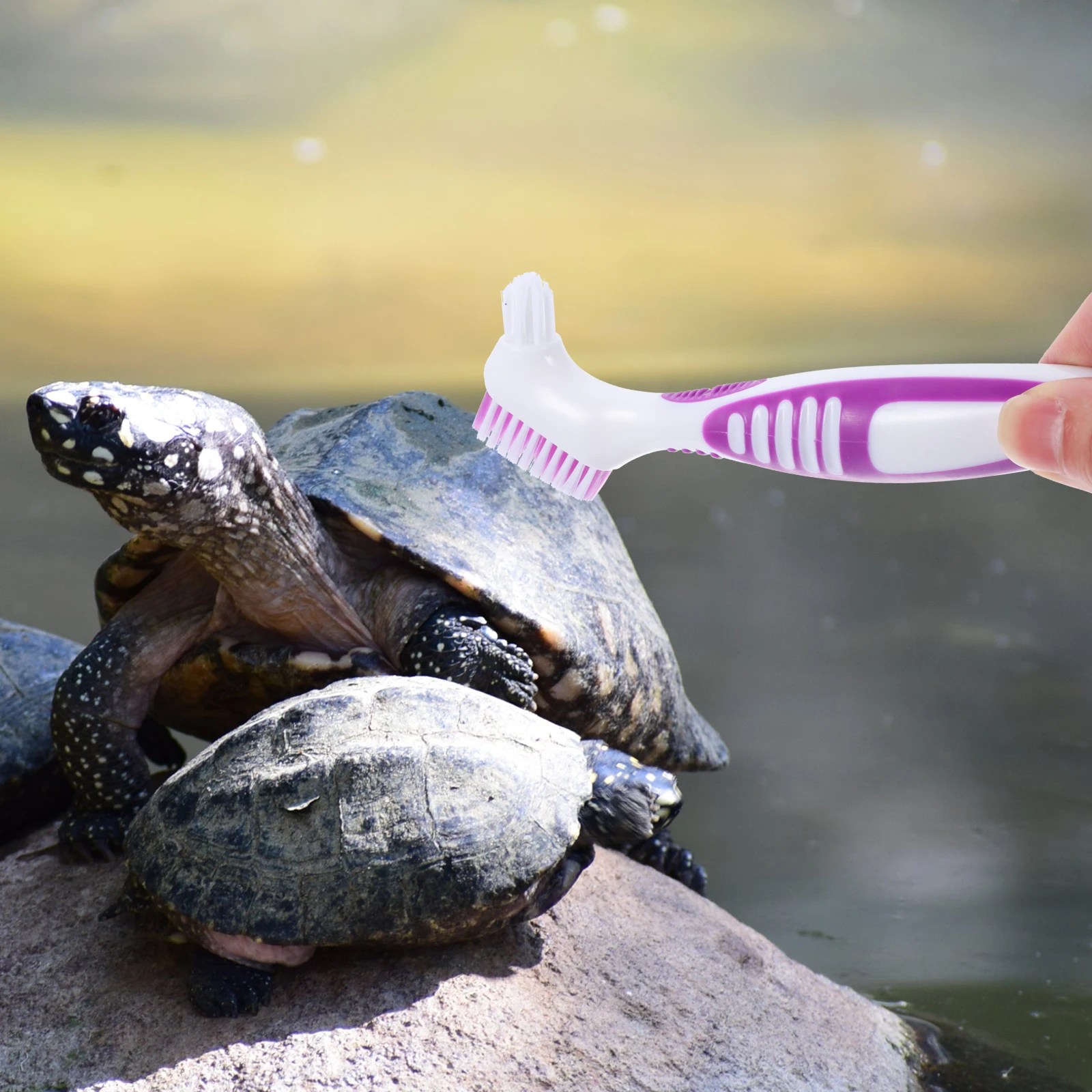 

Turtle Shell Cleaning Tool Double-Side Design Premium Material Flexible Bristles for Effective Cleaning Multi-Functional Small
