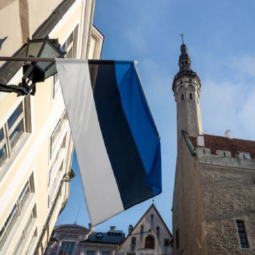 Xiangying 90x150cm The Republic Of Estonia EST Estonia Flag For Decoration