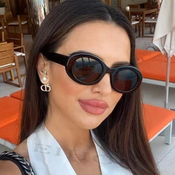 Classic Oval Branded Glasses 2024 Vintage Style Luxury Brand Designer Small Frame Popular Travel Driving Sun Glasses Fashion