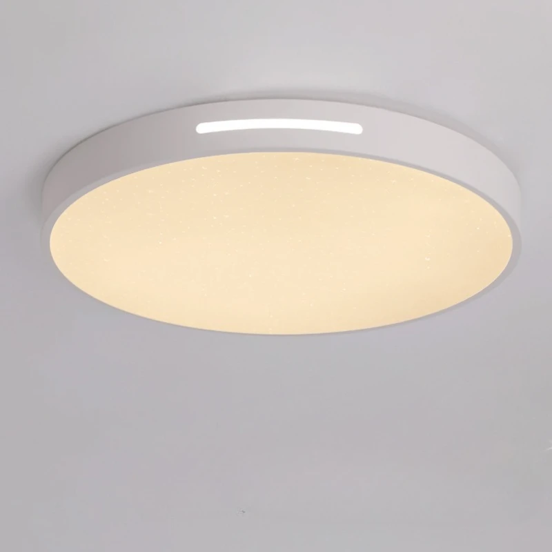 Creative Starry Sky Ceiling Lamp for Living Room Children's Room Customized Full Spectrum Eye Protection Bedroom Lighting Led