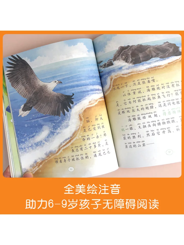 كتاب وينشير يبحث عن إصدار القلم الناطق من King Of Torreya #2