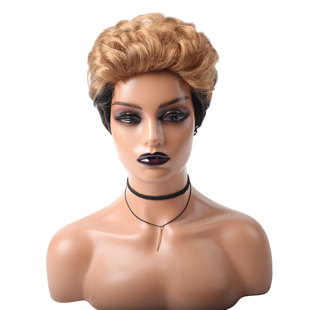 

Short Curly Synthetic Wigs for Women Afro Curly Synthetic Wigs Mix Color Synthetic Pixie Cut Wigs Low Temperature Synthetic Hair