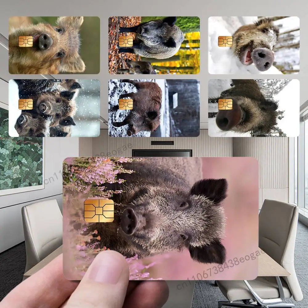 

Funny Animal Wild Boar Bank Credit Cards Bus Pass Stickers Cool Decoration Waterproof 4PCS Card Protective Film