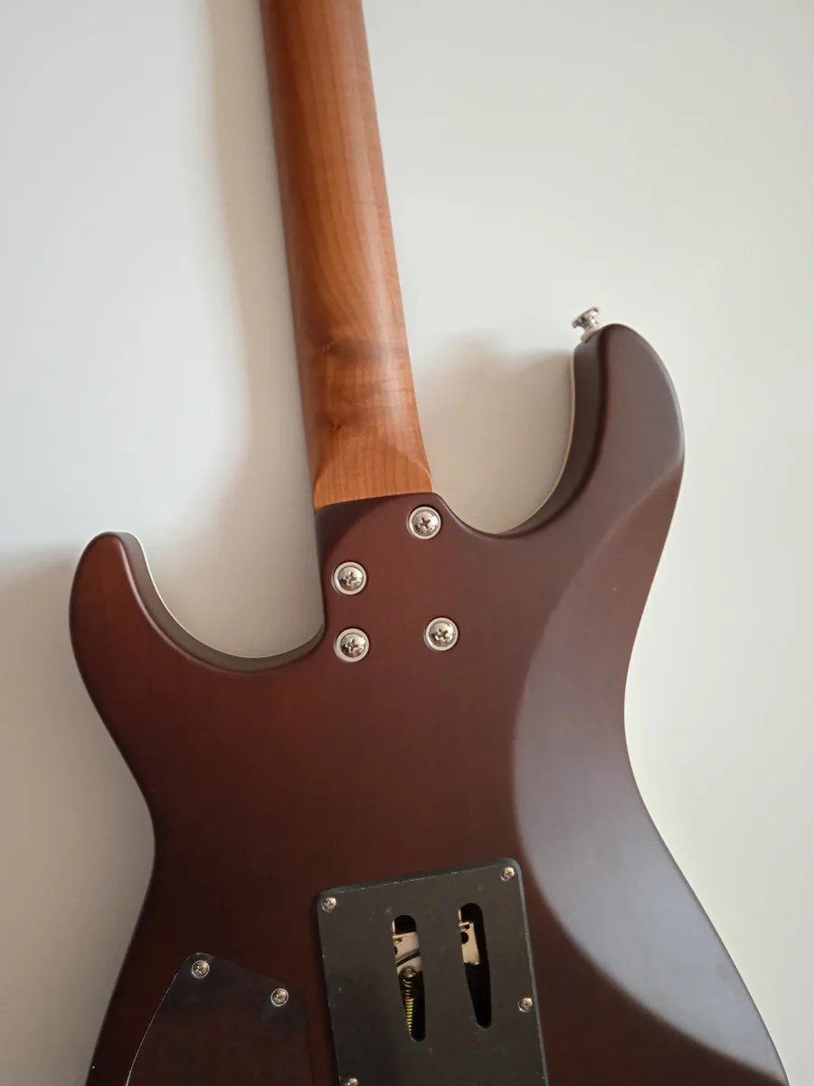 Electric Guitar 6 strings Roasted Maple