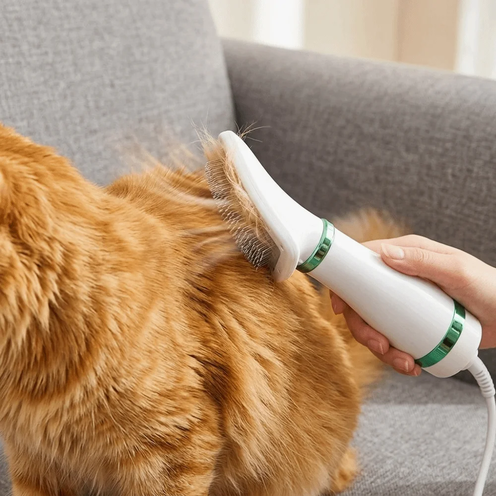 300W Power Pet Blow Dryer Brush Adjustable Warm Air Dual-use Blow & Comb Electric Pet Hair Brush Detachable Hair Collector