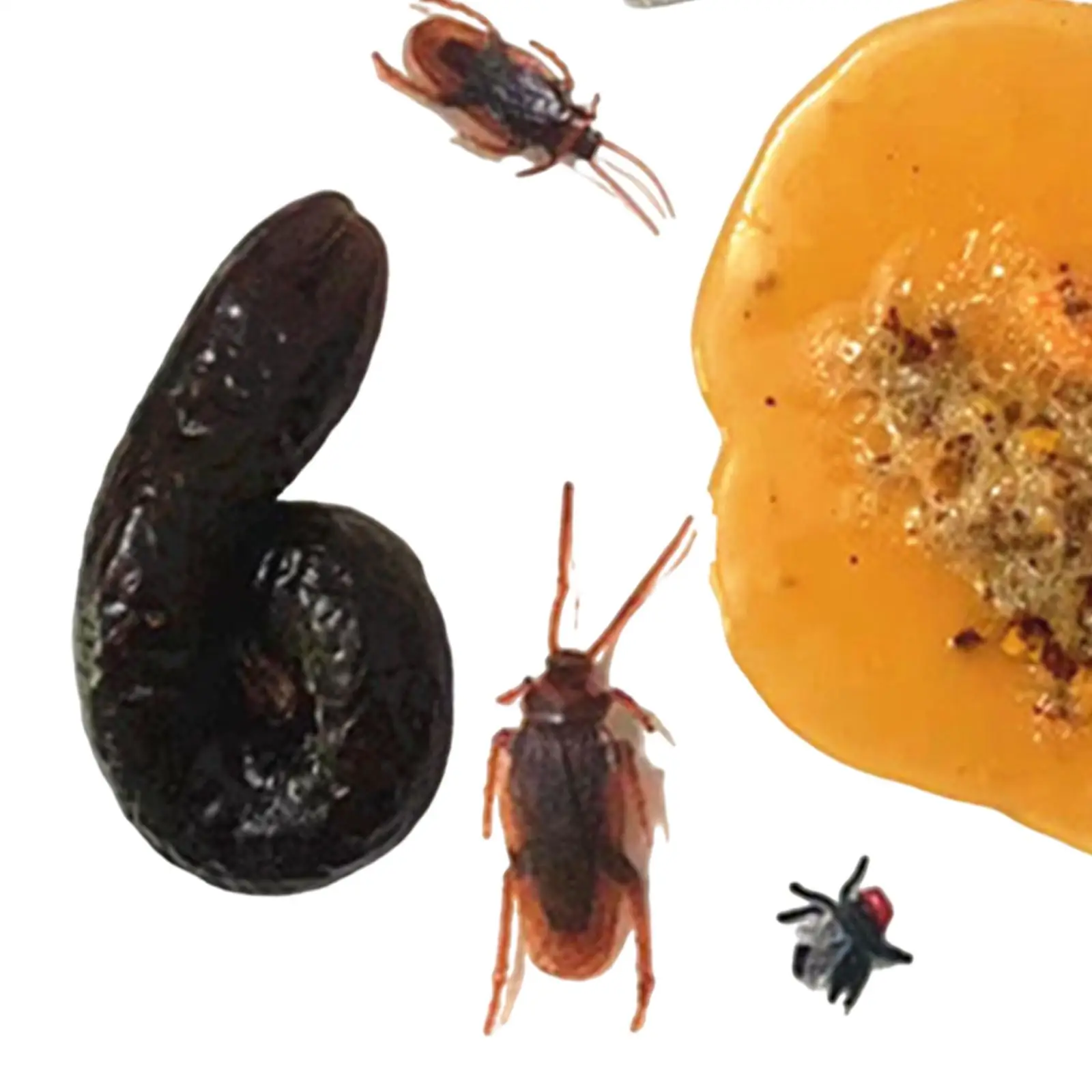 Juguete de truco de caca, favores de broma para suministros de fiesta, Día de los inocentes de abril