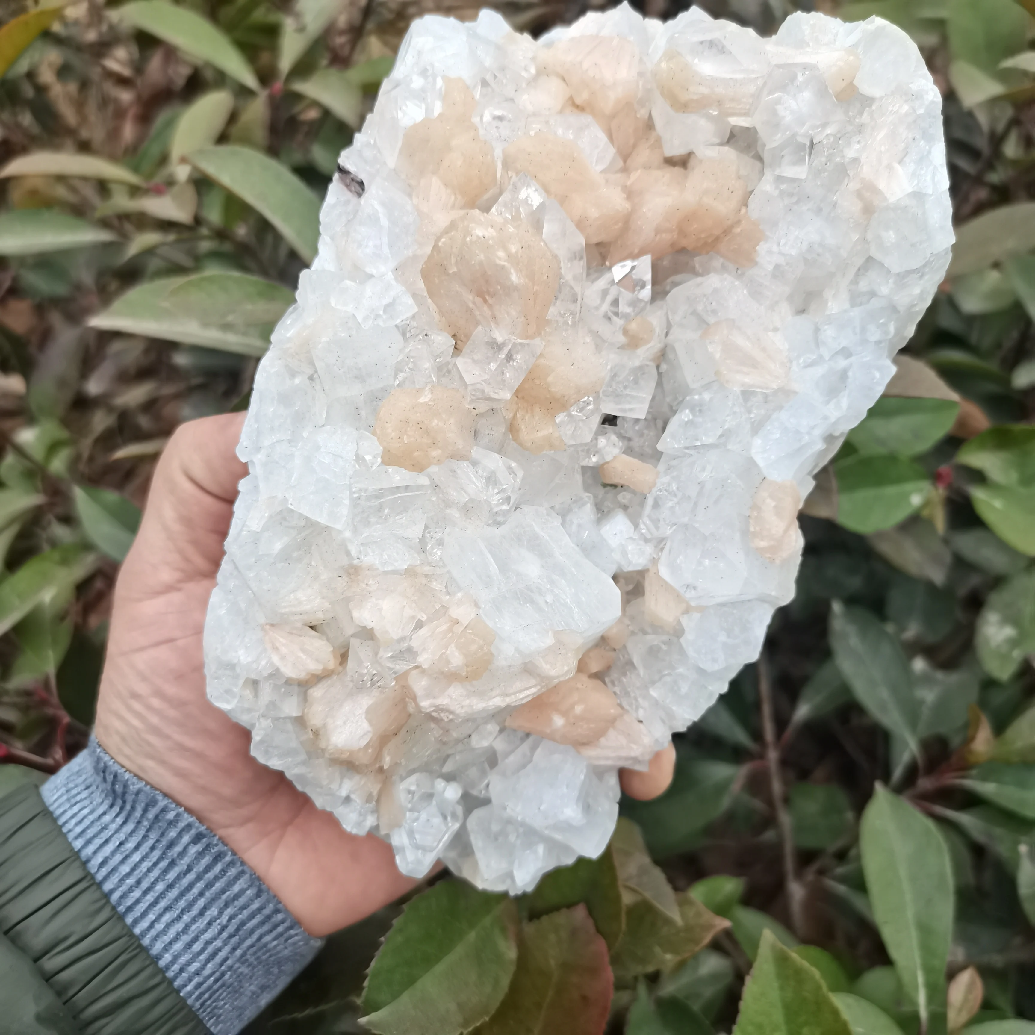 Raw Crystal Mineral Natural Rough Zeolite And Apophyllite Intergrowth Quartz Healing Quartz Reiki Energy Gifts Raw Stone Specime