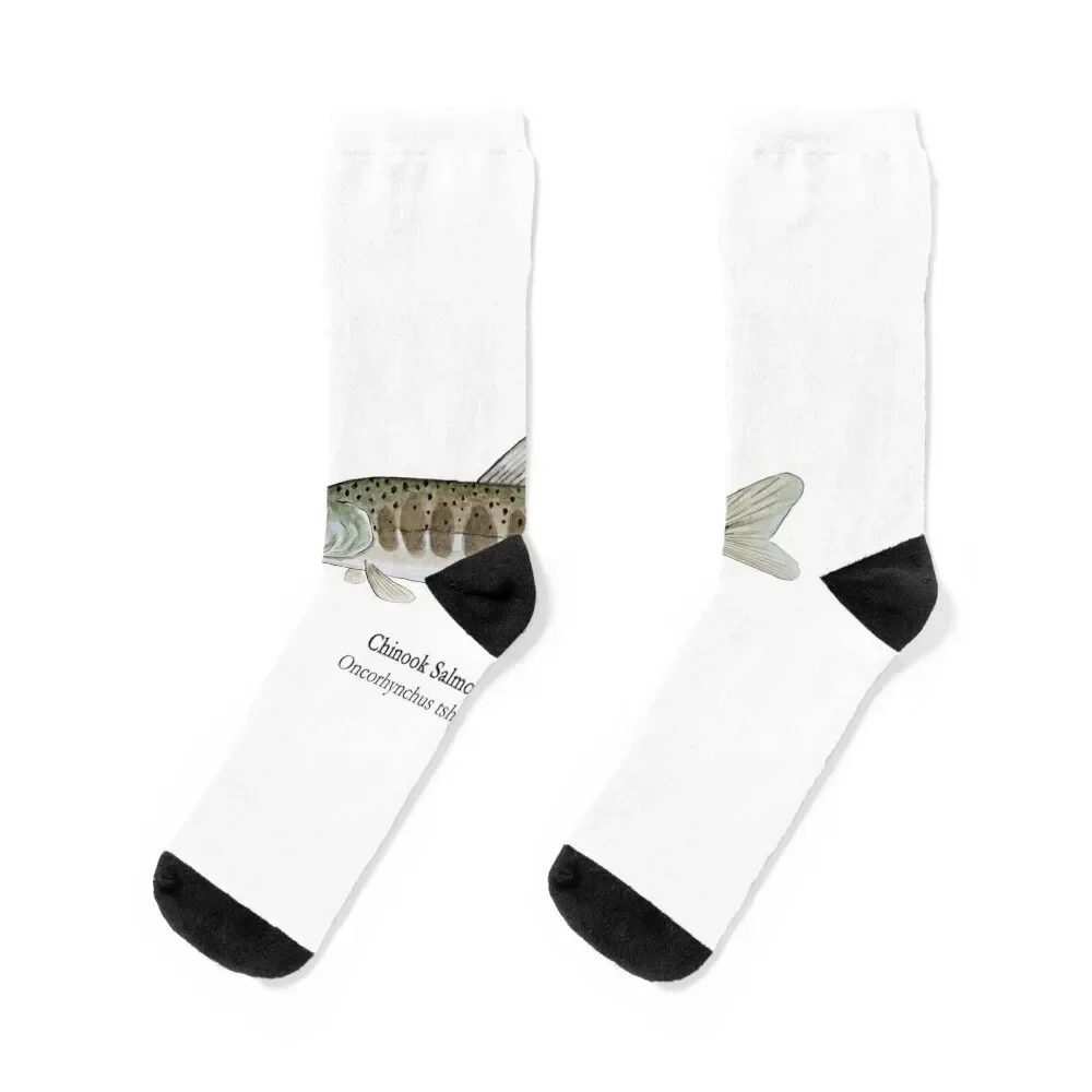 

Chinook Salmon Parr Socks luxe Stockings Stockings compression sheer Male Socks Women's