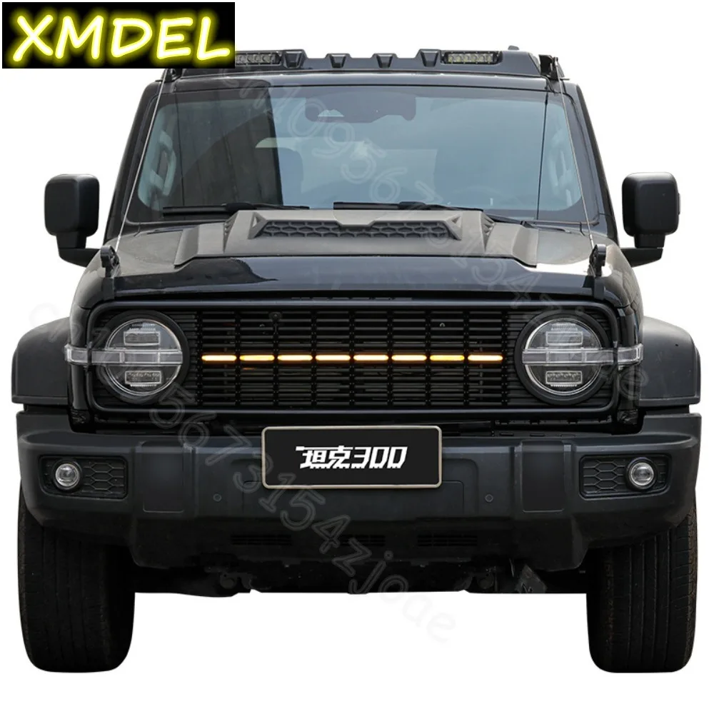 

For Great Wall GWM WEY TANK 300 Tank 300 Accessories Grille Modification Front Face Appearance Modification Accessories