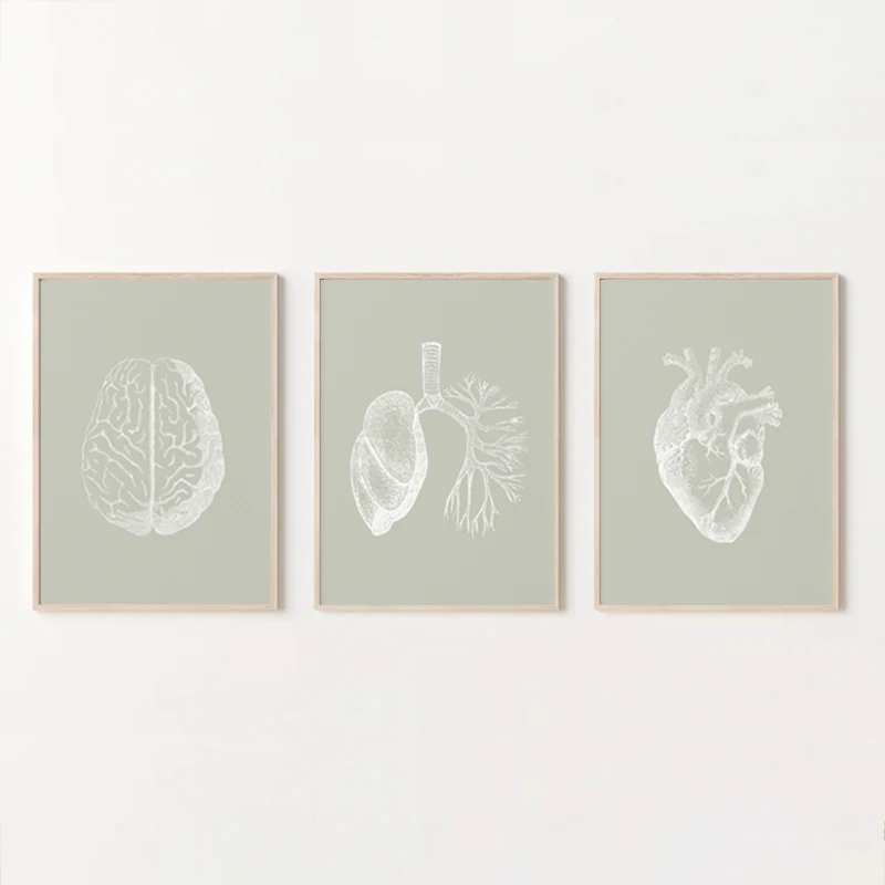 Minimalista abstrato Anatomia Humana Poster, Educação Médica Pintura Canvas, Wall Art Pictures, Cérebro Pulmões Coração, Home Decor