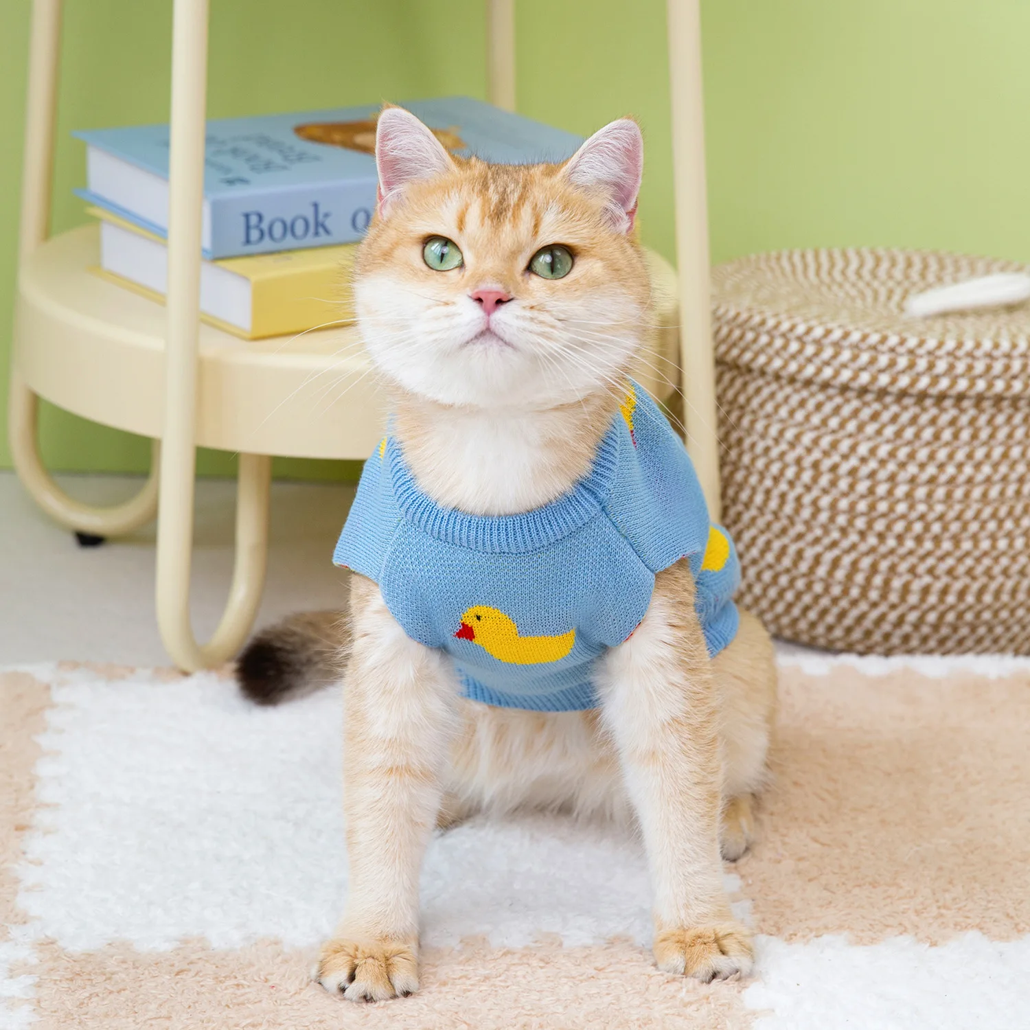 New autumn and winter pet clothes cartoon duck pattern cat sweater knitted sweater pullover pet sweater