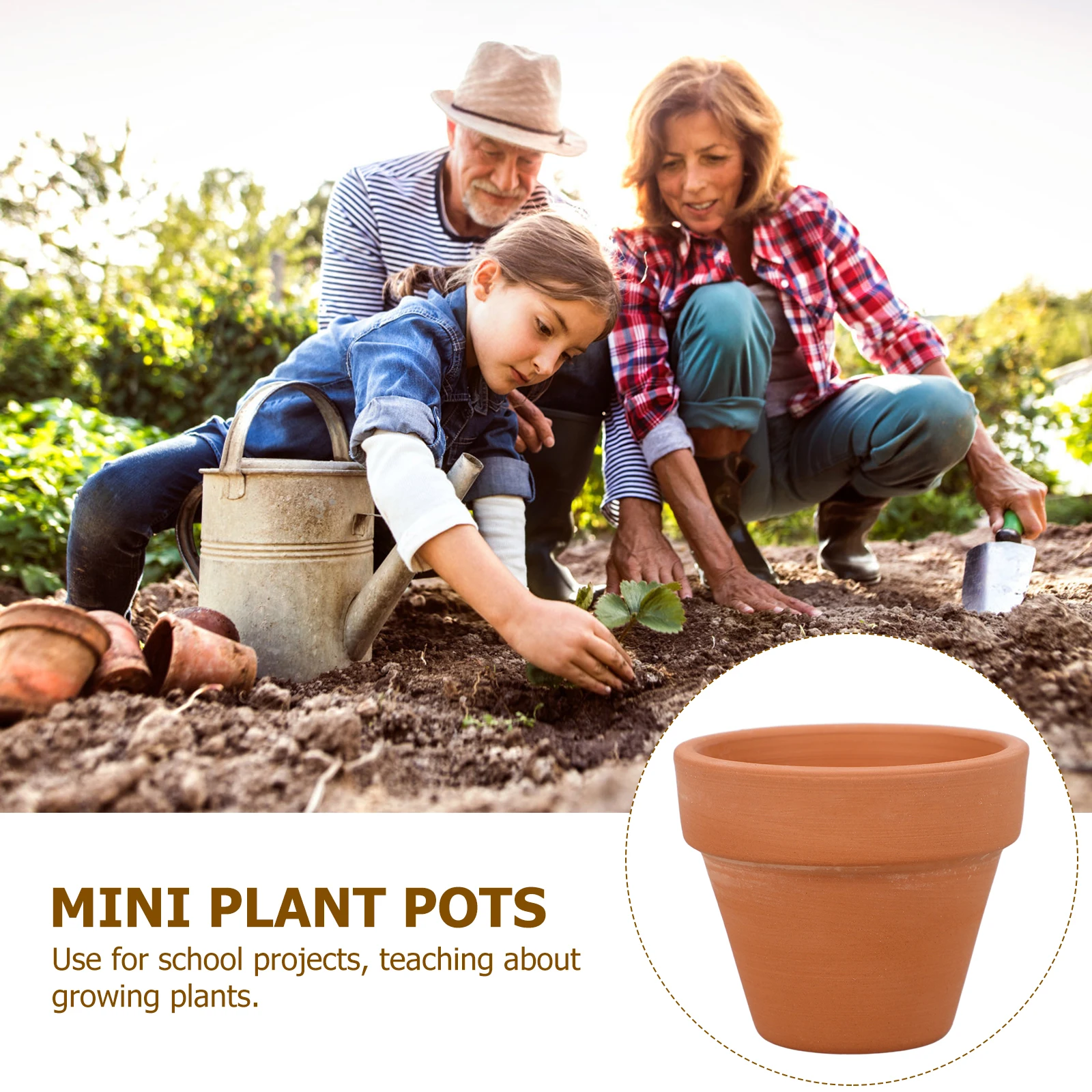 10pcs Mini Terracotta Pot Plan - Mini Bonsai Zen Garden review and price