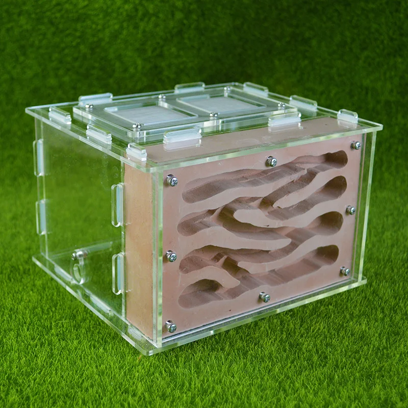 Shi Wang Ant House Acrylic Gypsum Wood Ant Nest Pet Living Ant Castle Breeding Workshop Moisturizing Home