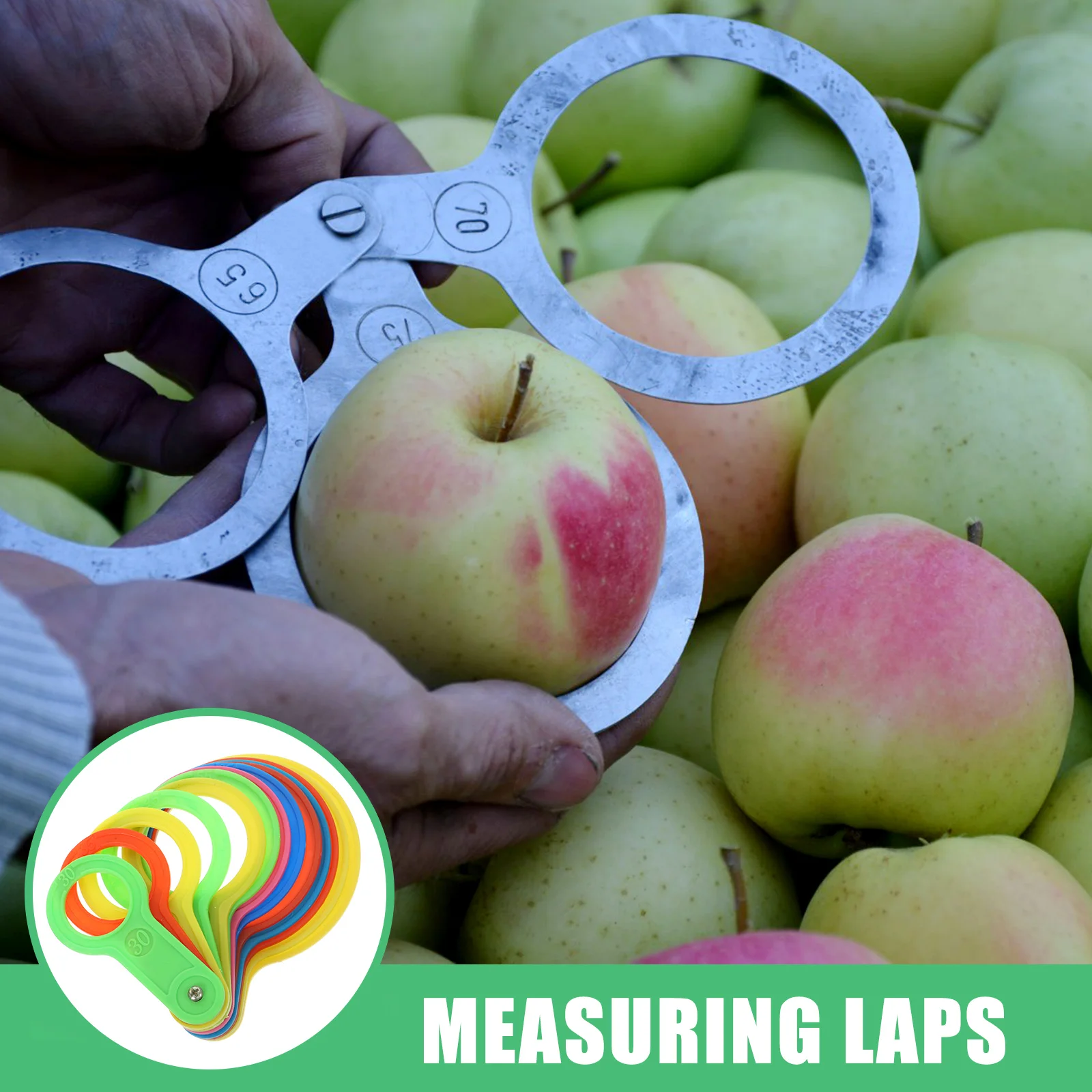 Fruit Grader Citrus Diameter Measuring Rings Circle Fruits Gauge Lap Universal Plastic