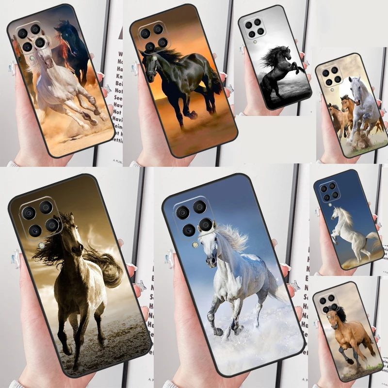 Running Horses For …