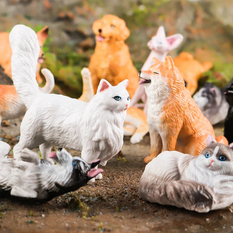 Oenux Montessori Spielzeug Wild Farm Dinosaurier Ozean Katze Tiere Modell Action Figur Zoo Figuren Nette Miniatur Bildung Kind Geschenk – Detail 17