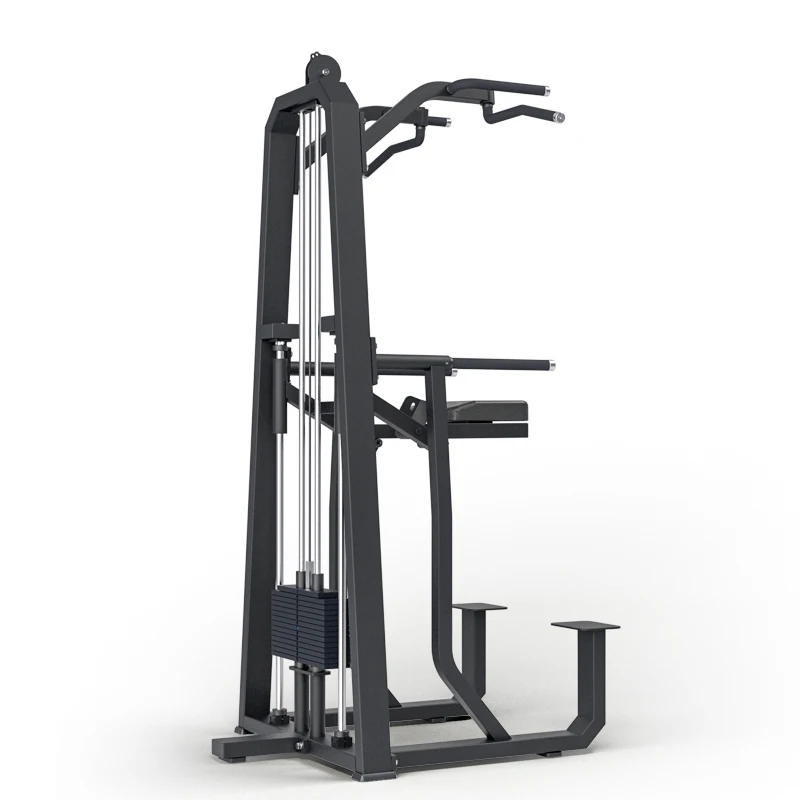 Shandong High Quality Gym Equipment Pin Loaded Dip Chin Assist Machine