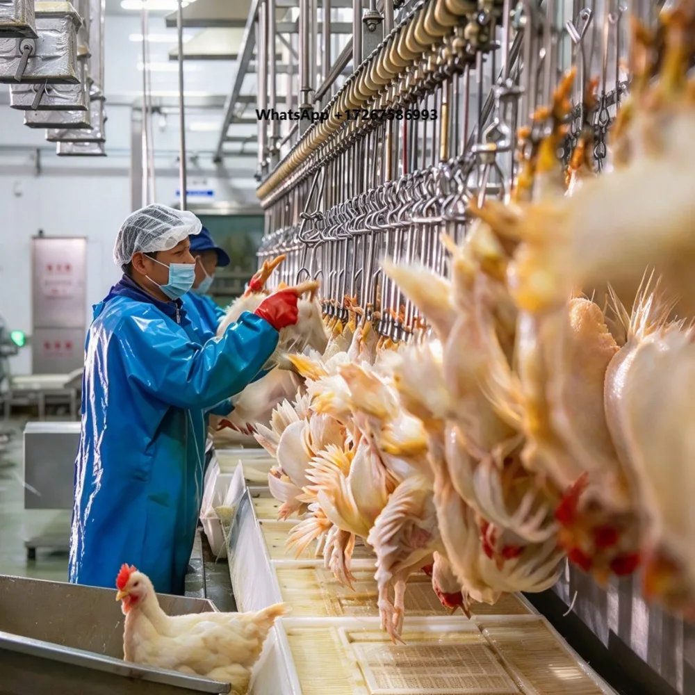 2000 BPH Carcass Plucking Machine Poultry Slaughter Equipment for Slaughterhouse Chicken Meat Processing Machine