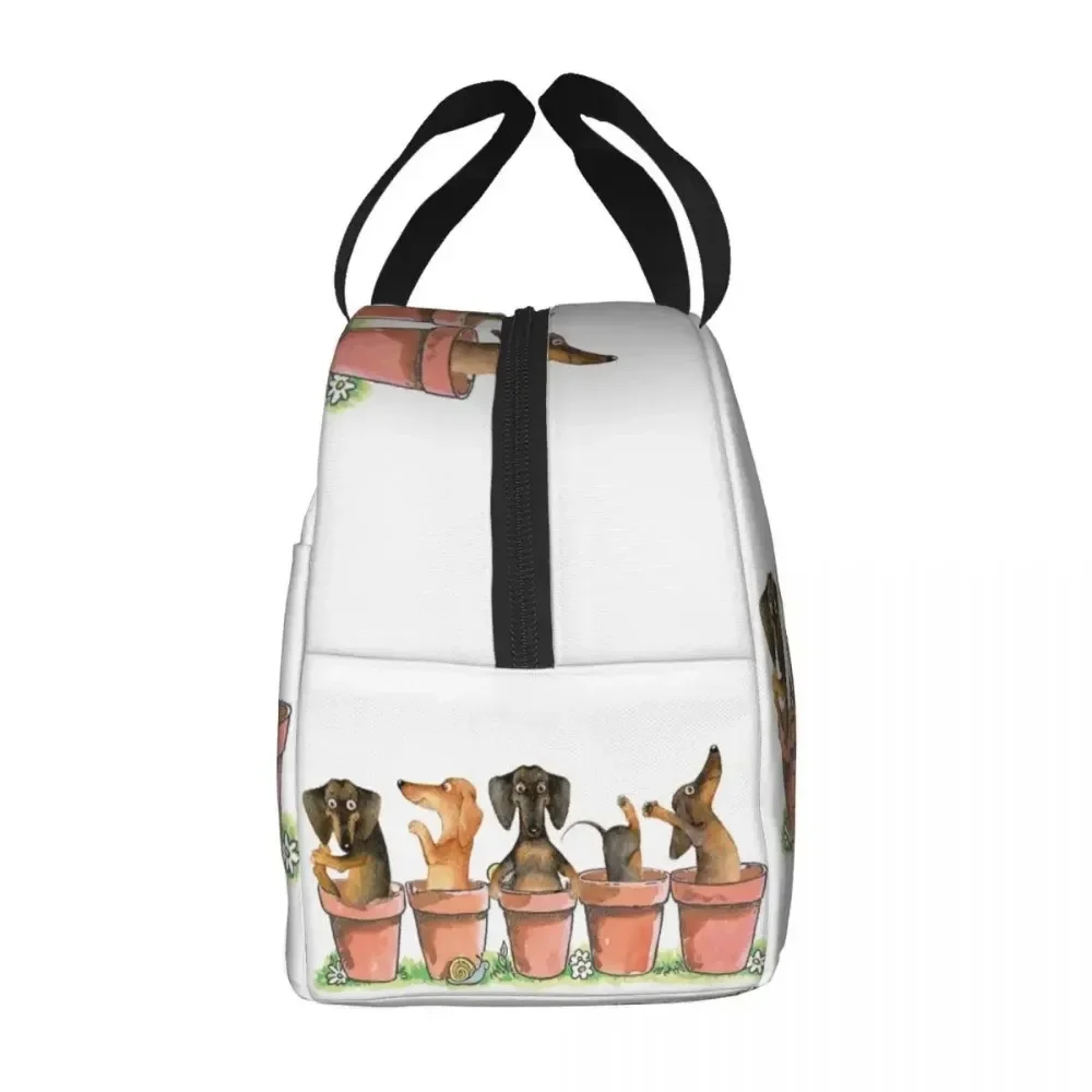 Dachshund Flower Pots Insulated Lunch Bags Wiener Badger Sausage Dog Portable Cooler Thermal Food Lunch Box Work School Travel