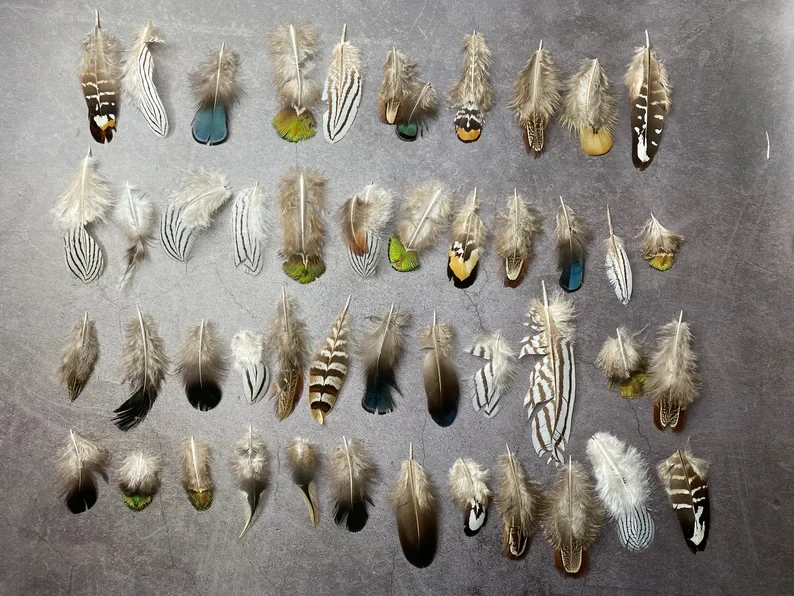 Natural Goose Feathers 50PCS Colored Feather Decorative Feathers Handicraft Home Decoration Wind Catching Net Craft Feather