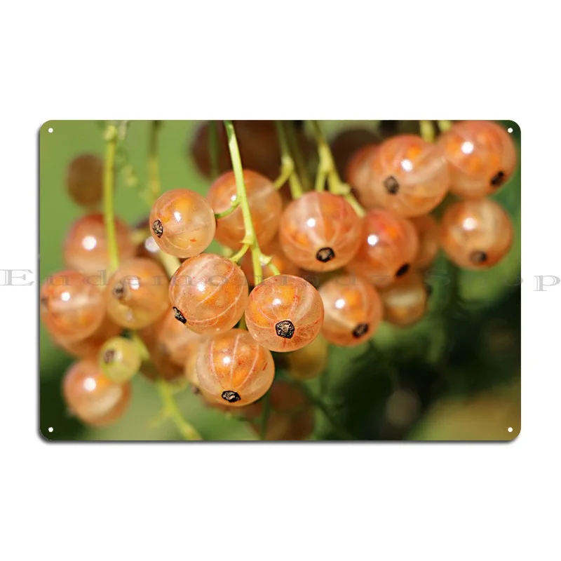 Currants Metal Signs Wall Cave Party Wall Custom Personalized Mural Tin Sign Poster