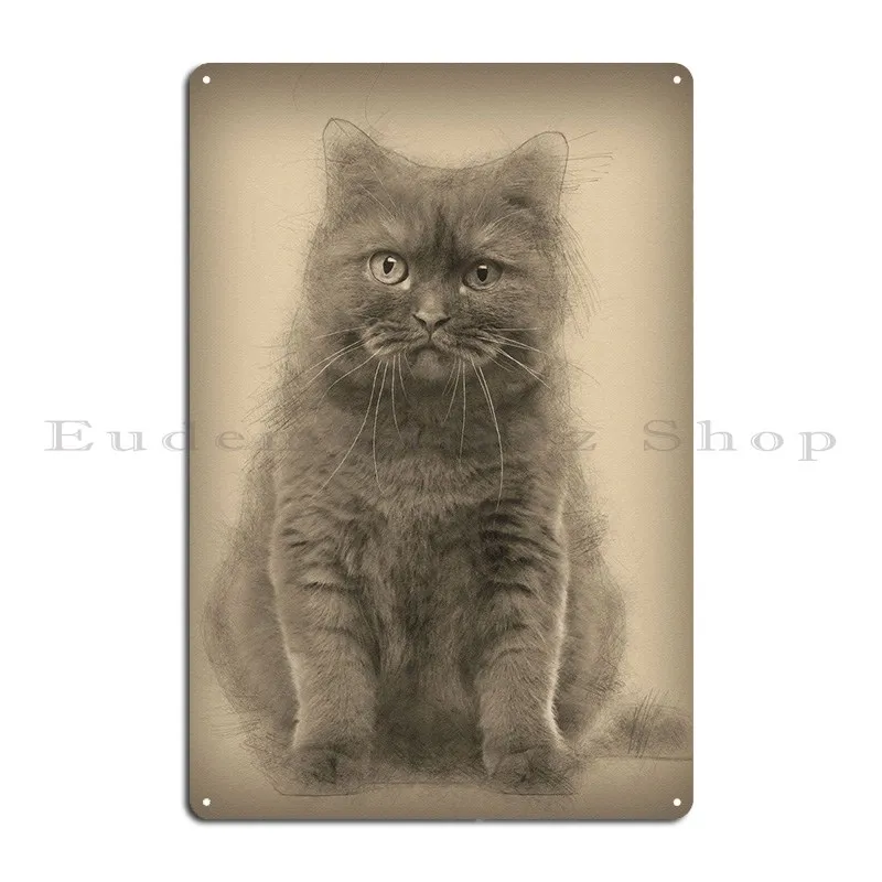 British Shorthair 20 Month Metal Sign Pub Party Create Club Tin Sign Poster