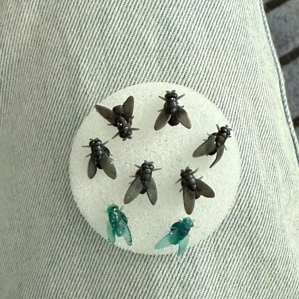 Новые-серьги-имитация-мух-черные-забавные-миниатюрные-украшения-для-ушей-подарок-для-мужчин-женщин-пар