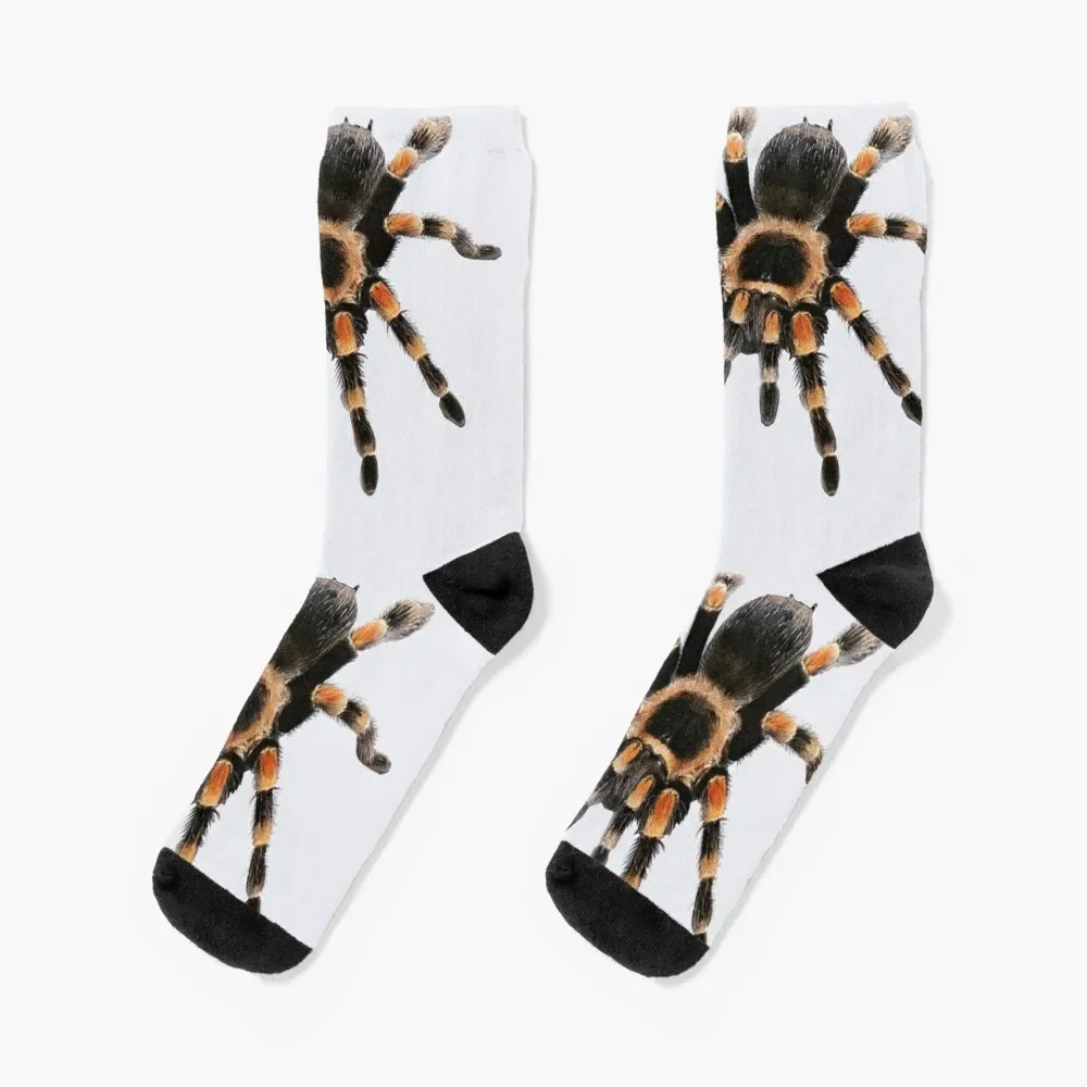 

little spider, tarantula, spider Socks soccer anti-slip warm winter cotton New year's Socks Female Men's