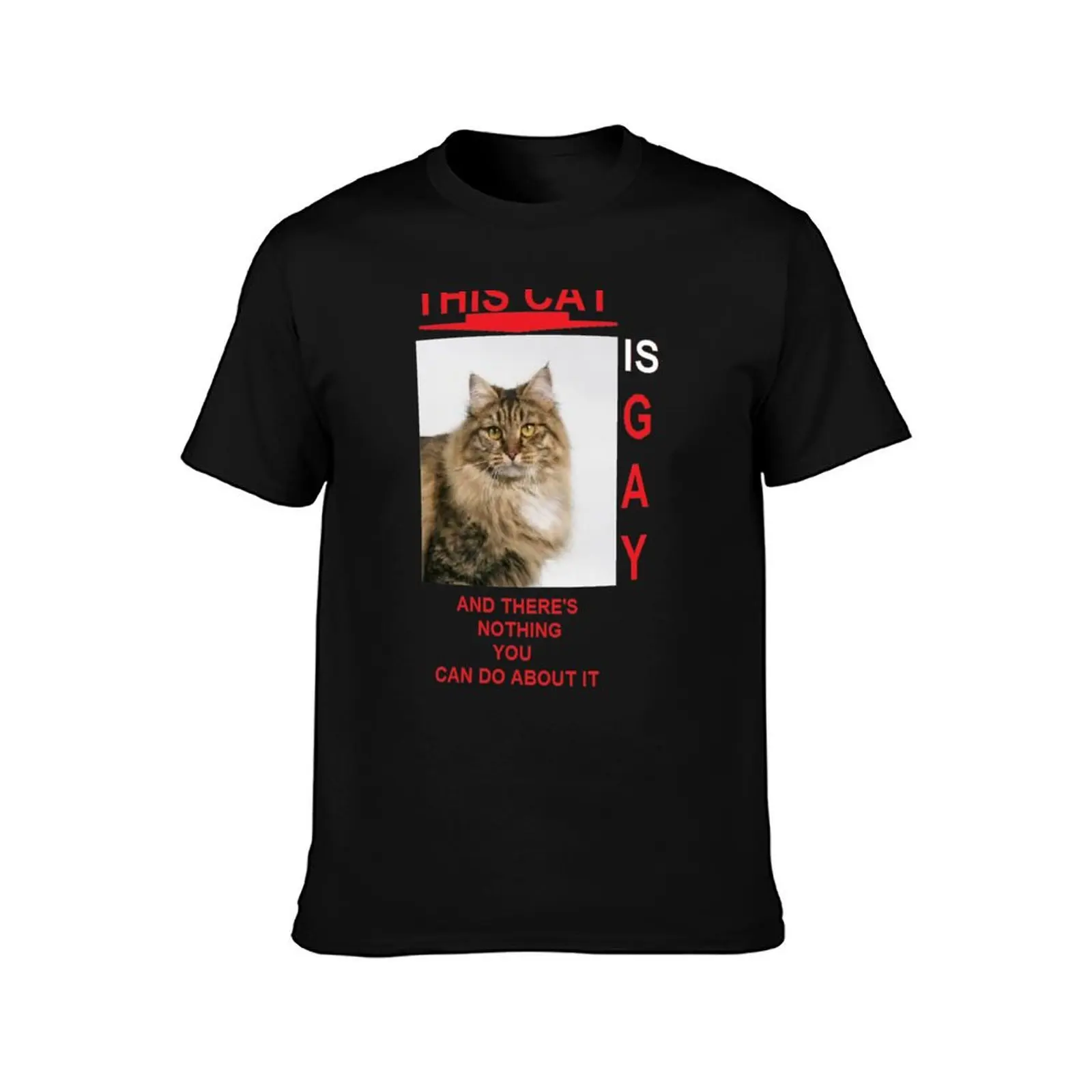 this cat is gay and there's nothing you can do about it. T-Shirt t shirts for man pack white T-Shirt