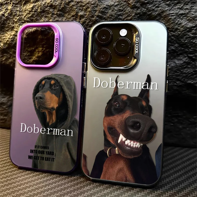 Aloof Doberman Pinscher For iPhone 15 14 13 12 11 Pro Max XS Max X XR 7 8 Plus 6S Fashion Colorful Silver Phone Case