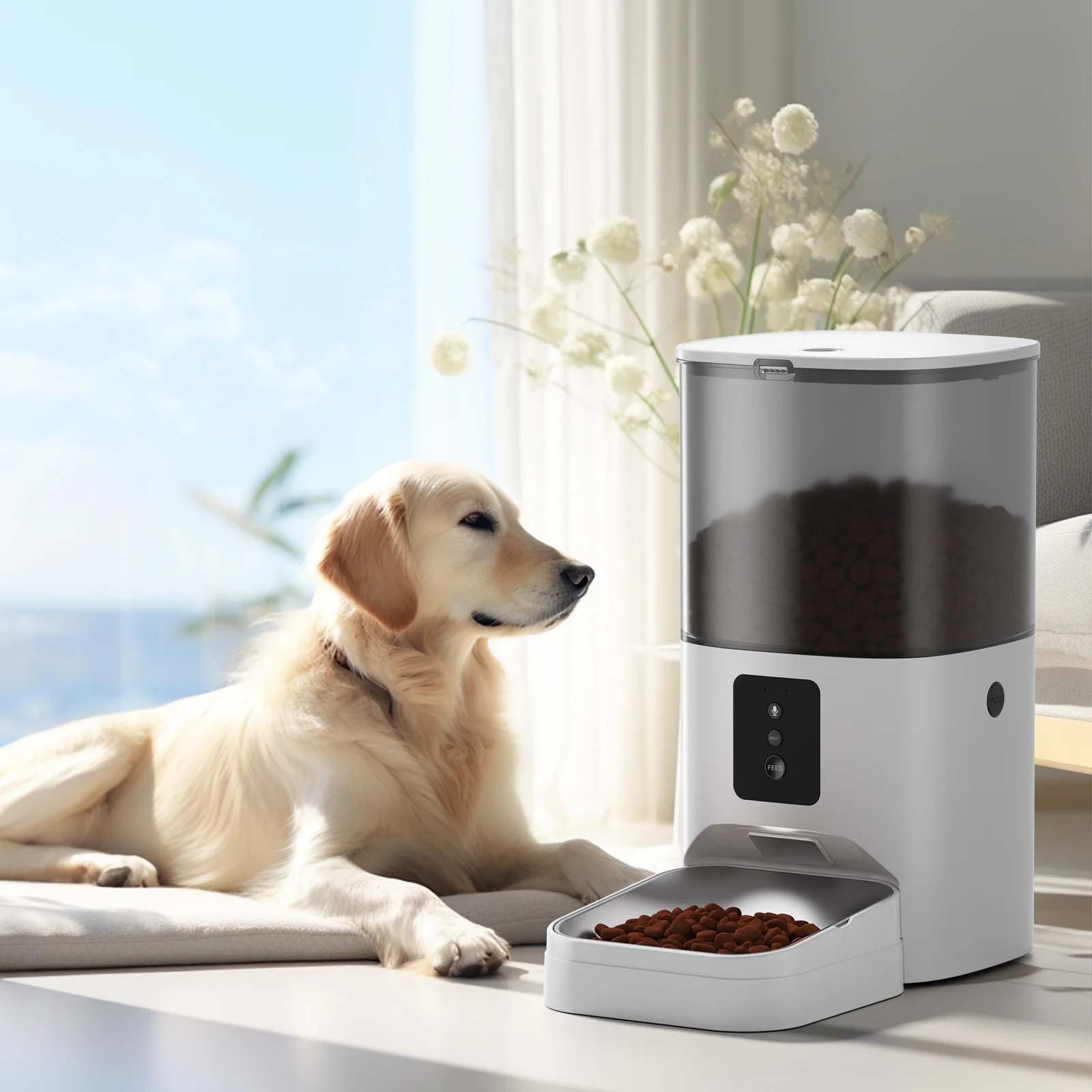 Pet intelligent feeding WiFi device timing quantitative grain dispenser