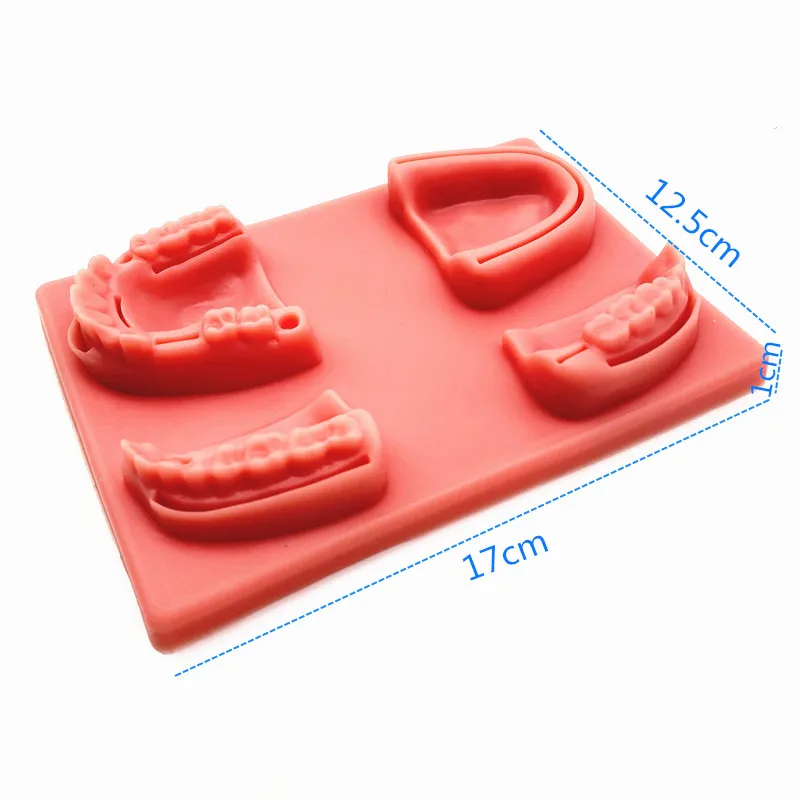 Silicone Human Skin Oral Teeth Gum Suture Dental Training Pad Dentist Practice Training Model Common Types of Dental Wounds