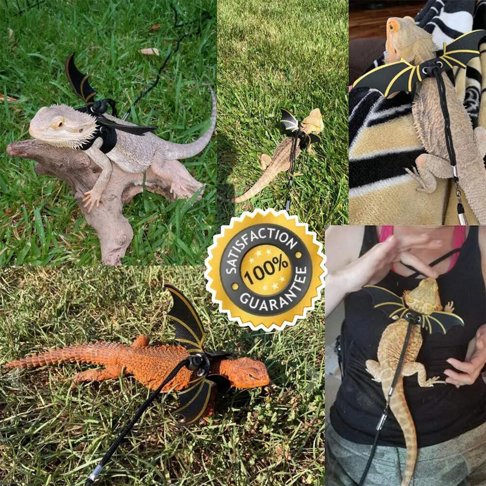 Adjustable Bearded Dragon Reptile Leash Harness set Wings Costume Clothes From Baby To Juvenile Lizard Iguana Gecko Chameleon