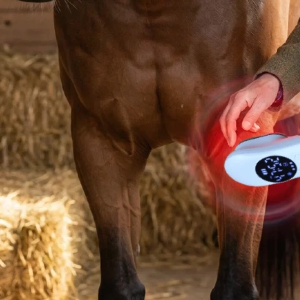 

Усовершенствованное медицинское лазерное реабилитационное устройство с использованием ближнего инфракрасного света для эффективного заживления ран.