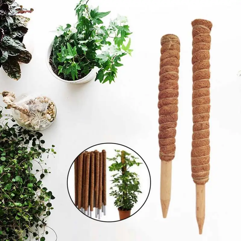 50cm Plant Climbing Coir Totem Pole Safe Gardening Coconut  Stick For Climbing Plants Vines And Creepers Plant Support