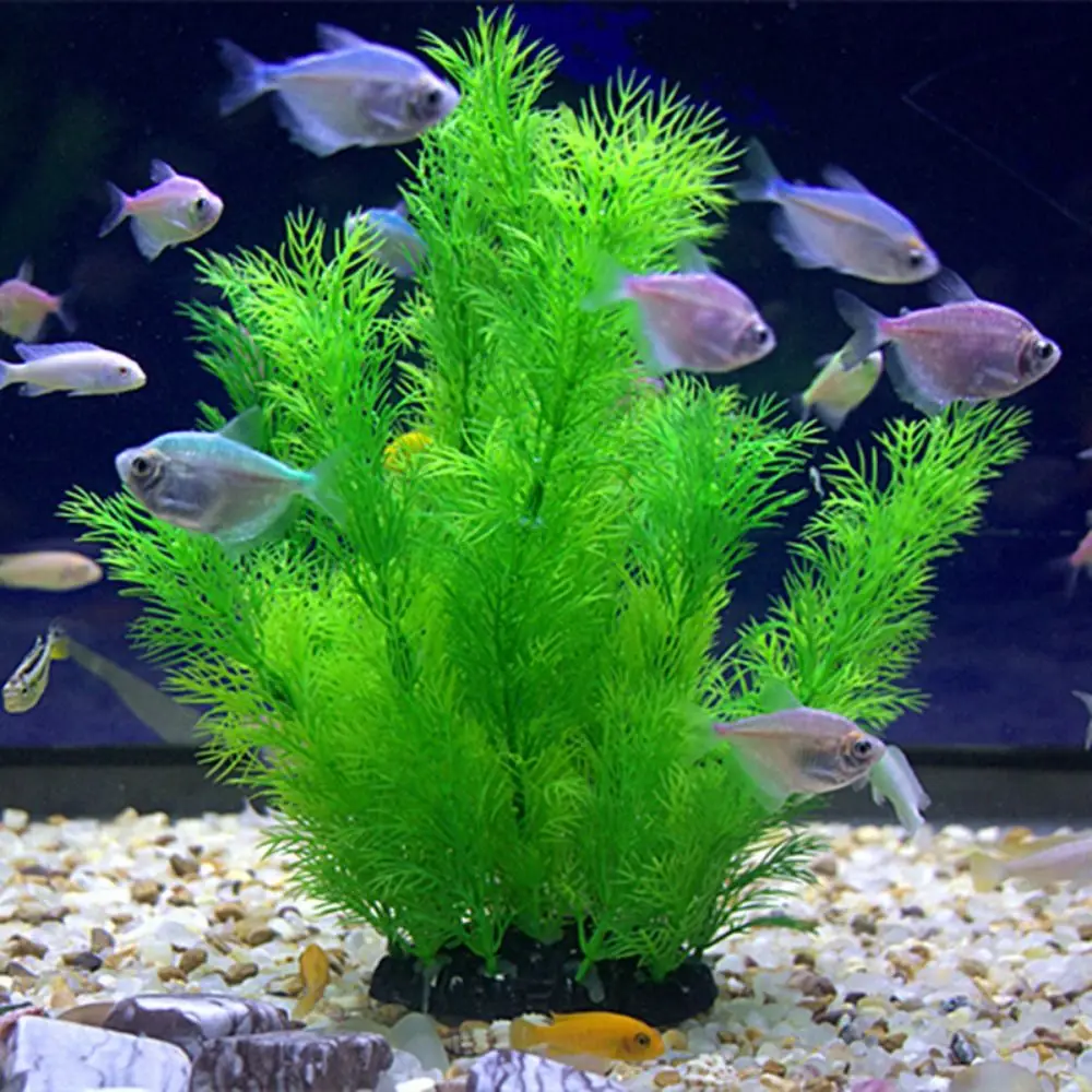 Aquarium Plants Orn…