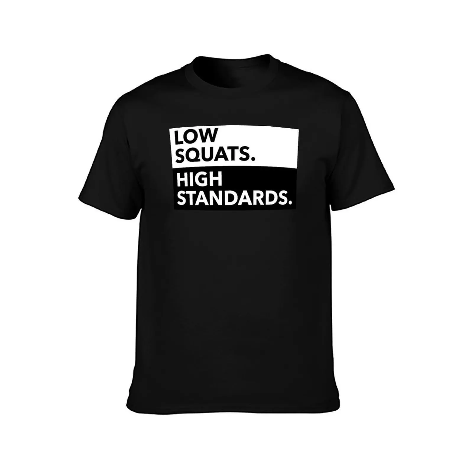 LOW SQUATS HIGH STANDARDS T-Shirt Plus Size Street Style Tee T-Shirt