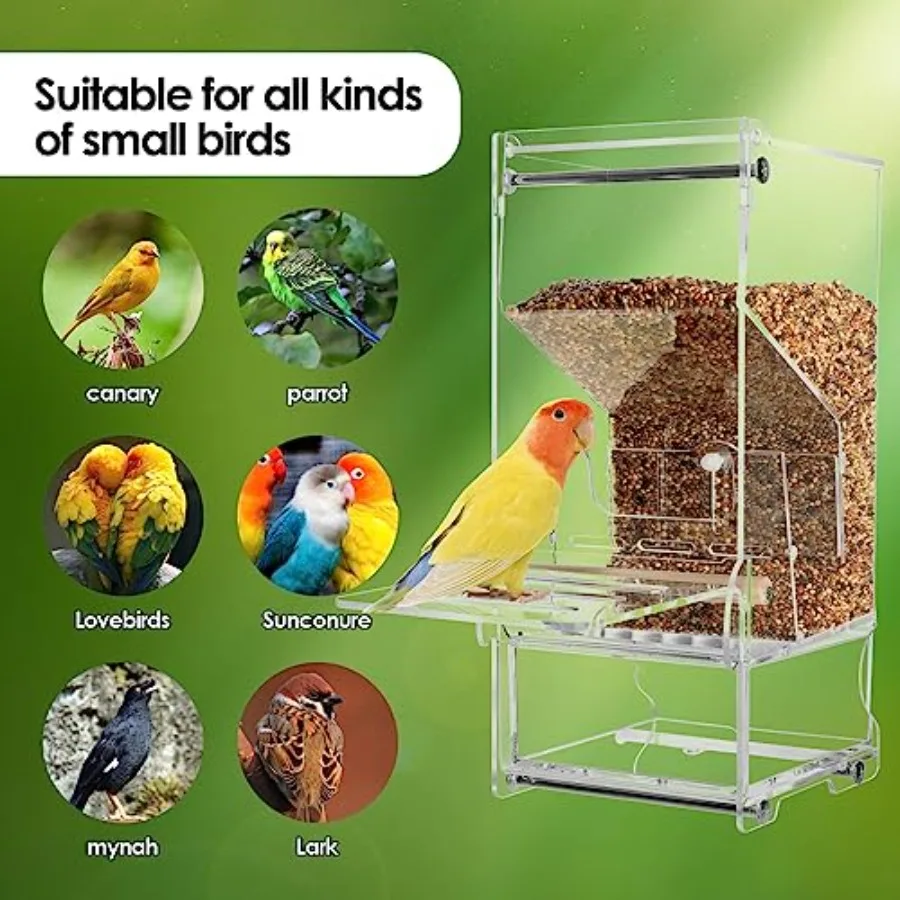 【Spot goods】No Mess Bird Feeder Automatic Thickened Bird Seed Food Container Transparent Acrylic Parrot Food Holder with Stand view 4
