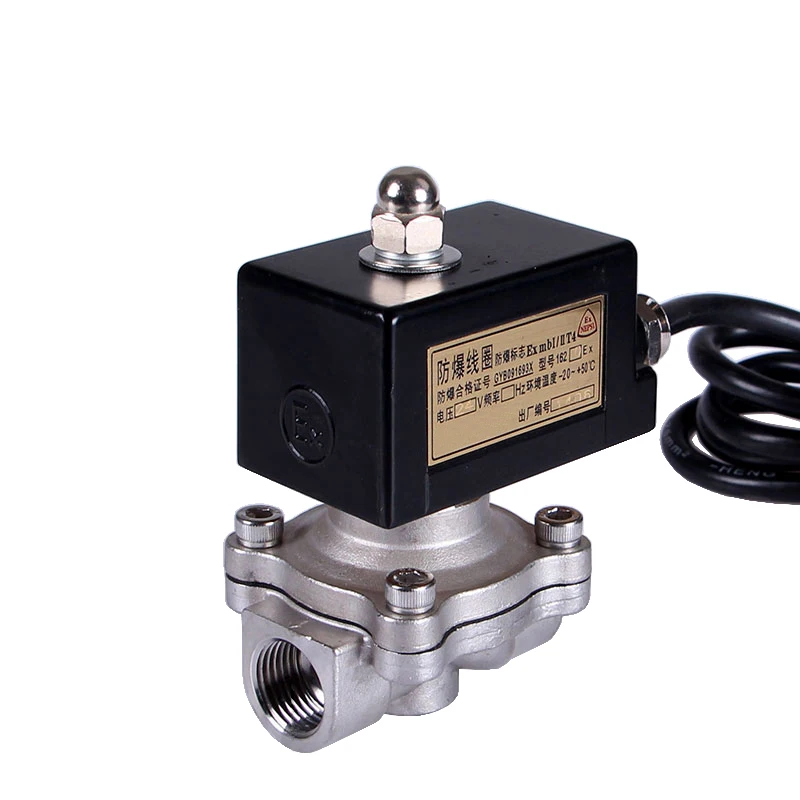 Normally Closed IICT4 Explosion Proof Solenoid Valve Stainless Steel Natural Gas Valve Water Valve AC/DC 220V 24V 12V