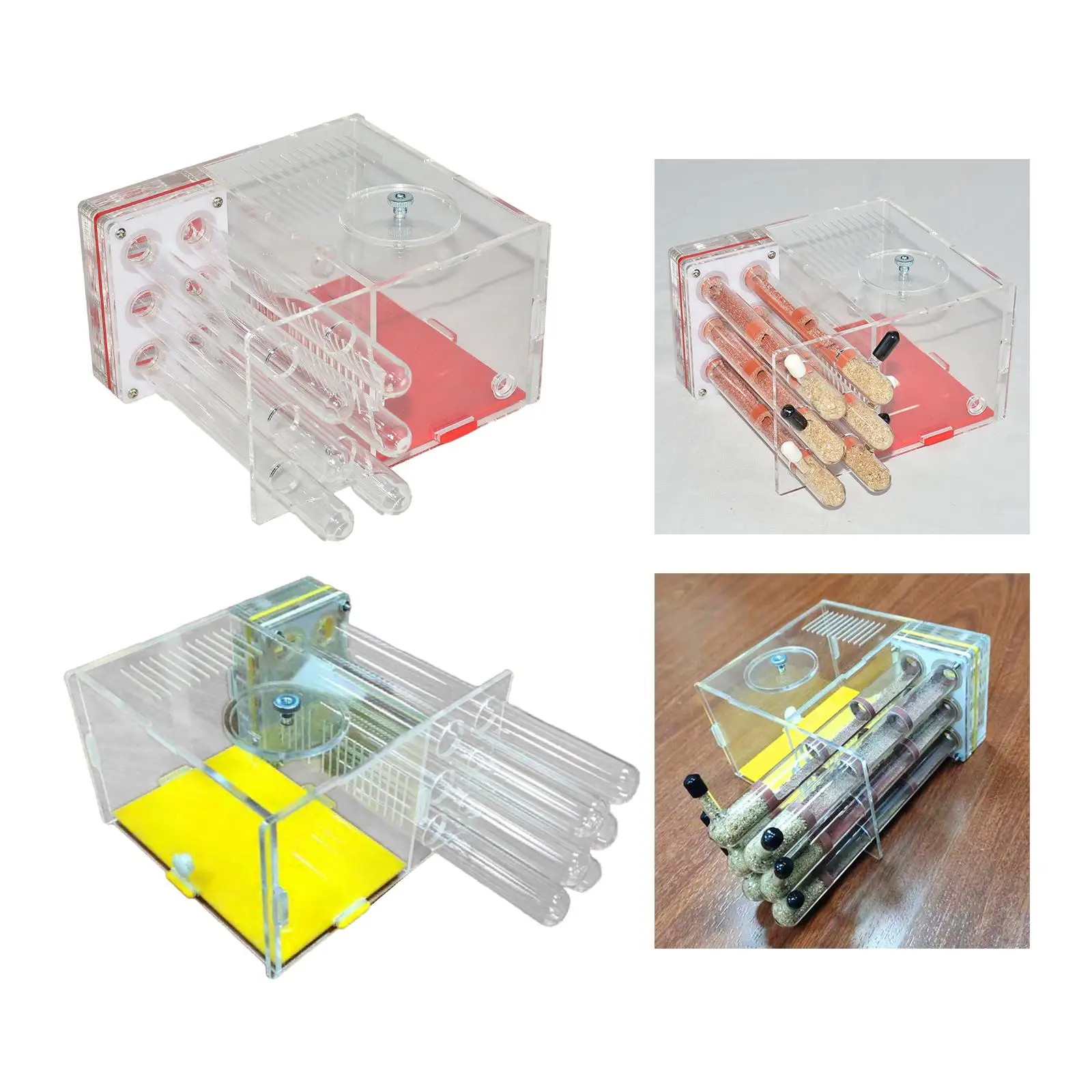 ورشة عمل عش الإسكان ANT DIY صندوق عرض شفاف مدمج للمزرعة ANT Castle Habitat لغرفة نوم عشاق المنزل في يوم الأطفال