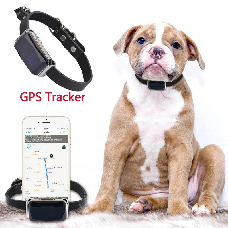 Gps Tracker Smart P…
