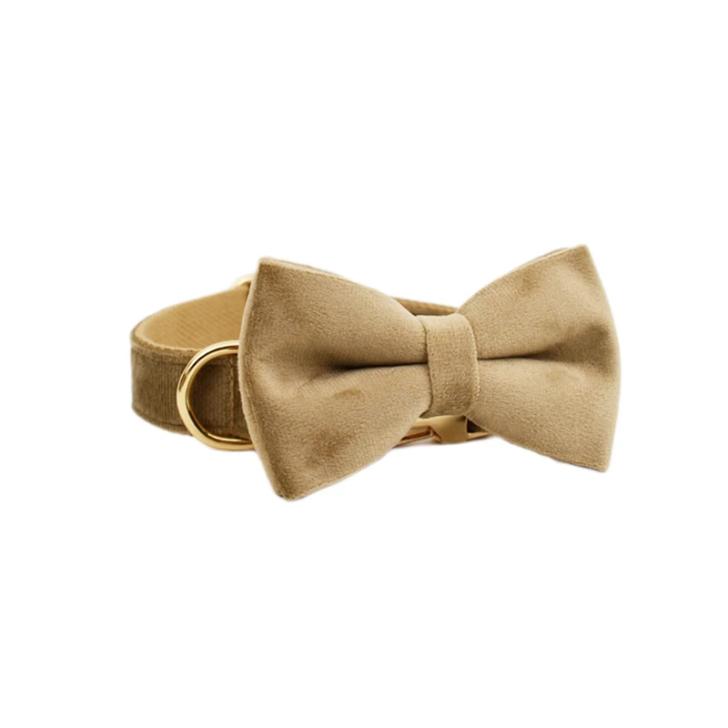 Ensemble collier et laisse en velours pour chien avec plaque_voghion.com