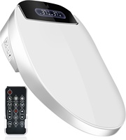 Intelligent Electric Washer Toilet Lid Remote Control Smart Heated Bidet Toilet Seat with Warm Air Dryer Water Wind Temperature